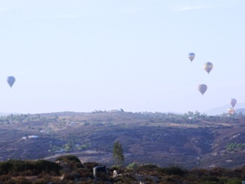 A Grape Escape Balloon Adventure